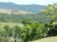 Millaa Millaa QLD 4886