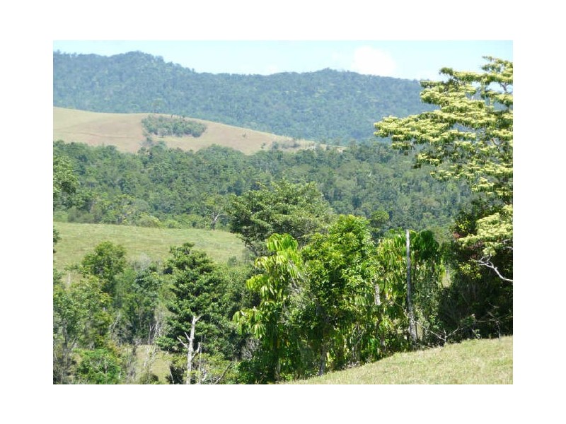 Millaa Millaa QLD 4886