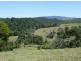 Millaa Millaa QLD 4886