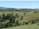 Millaa Millaa QLD 4886