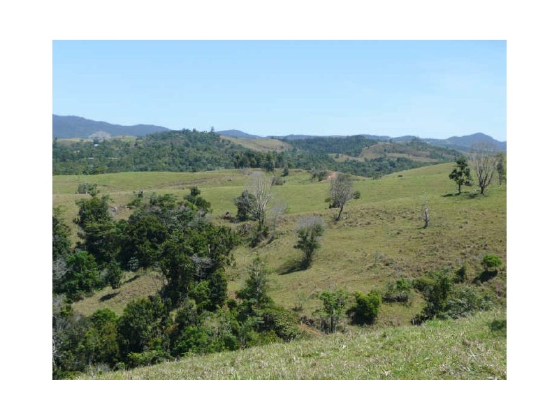 Millaa Millaa QLD 4886