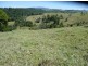 Millaa Millaa QLD 4886