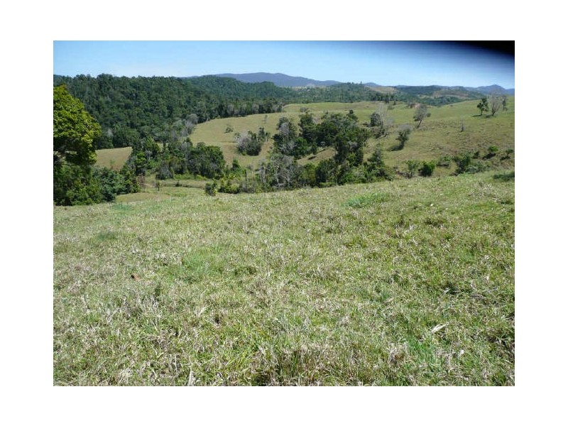 Millaa Millaa QLD 4886