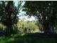 Millaa Millaa QLD 4886