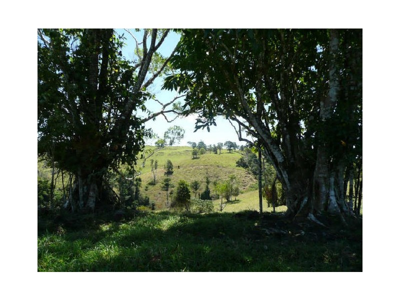 Millaa Millaa QLD 4886