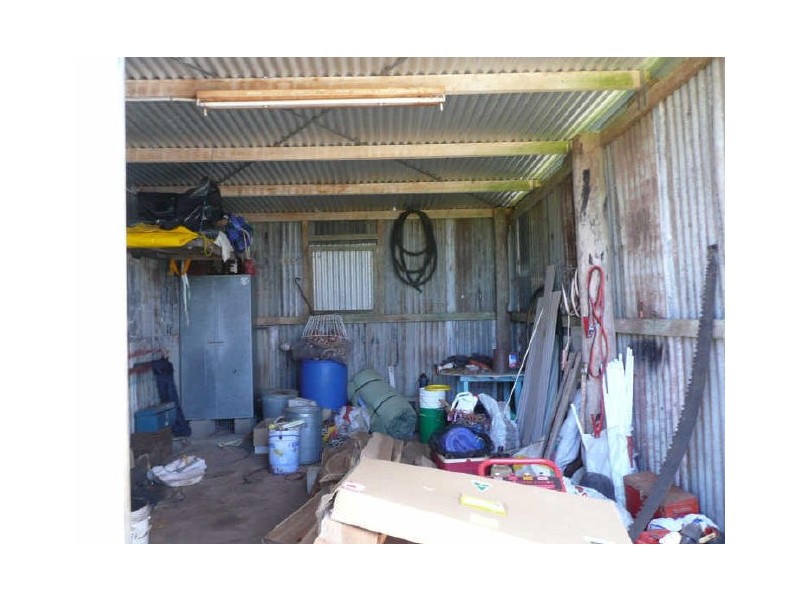Millaa Millaa QLD 4886