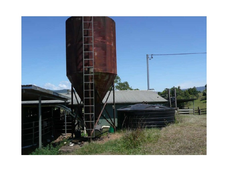 Millaa Millaa QLD 4886