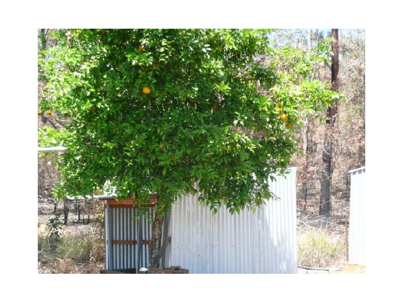 Ravenshoe QLD 4888