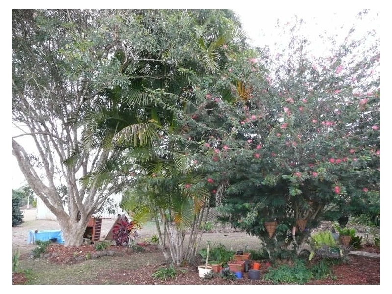 Atherton QLD 4883
