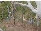 Biboohra QLD 4880