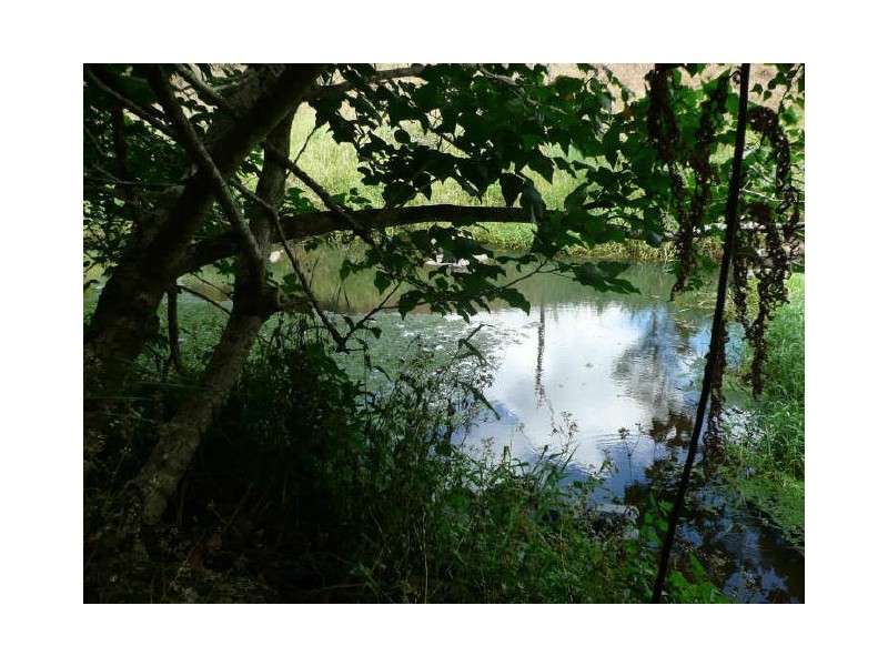 Millaa Millaa QLD 4886