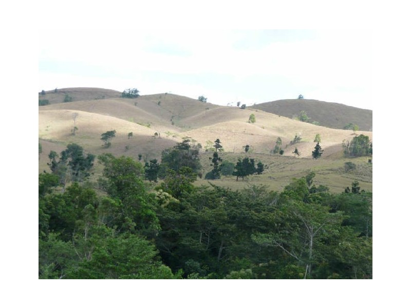 Millaa Millaa QLD 4886