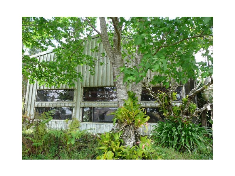 Millaa Millaa QLD 4886