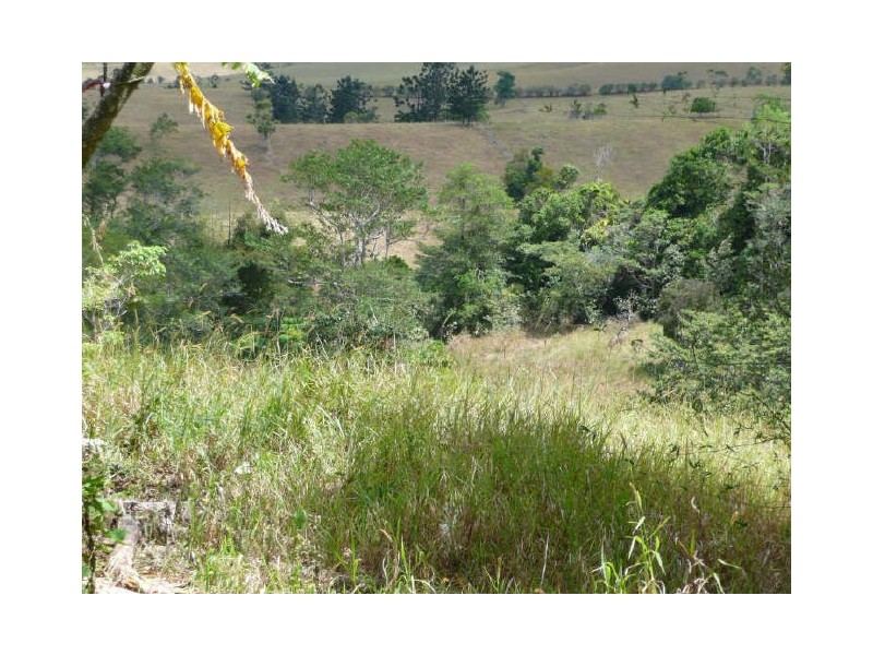 Millaa Millaa QLD 4886