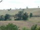 Millaa Millaa QLD 4886