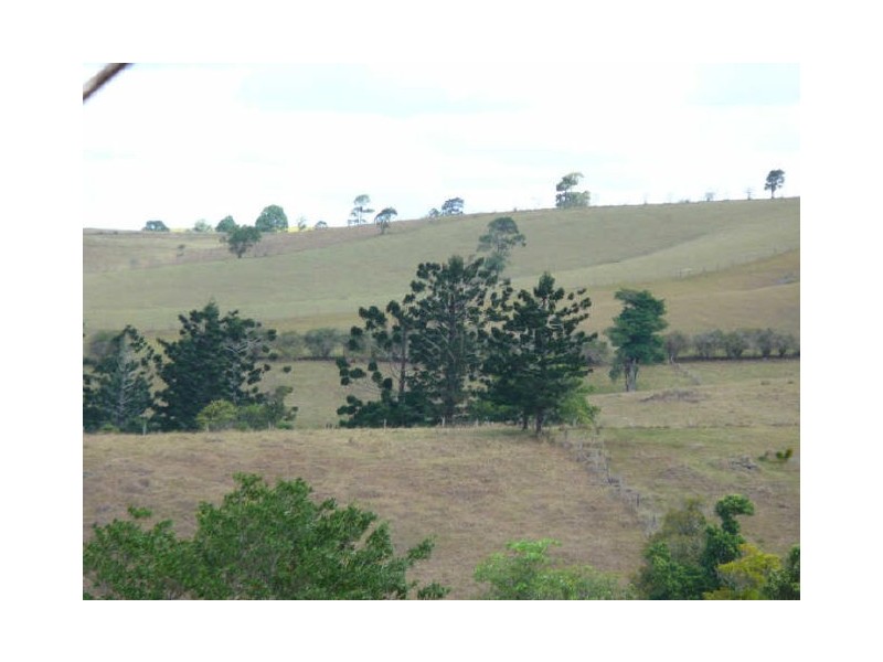 Millaa Millaa QLD 4886