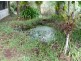 Millaa Millaa QLD 4886