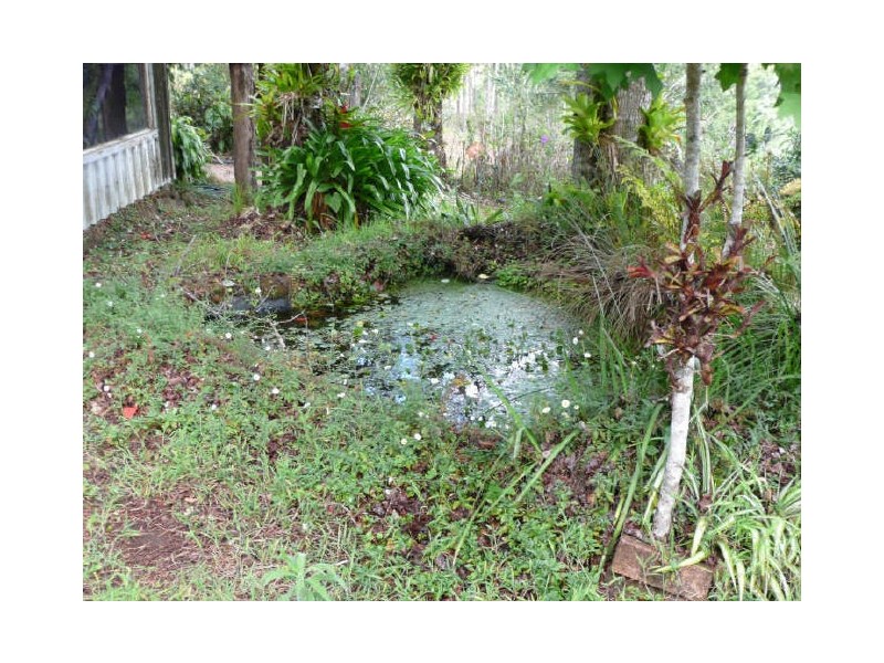 Millaa Millaa QLD 4886