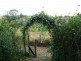 Millaa Millaa QLD 4886