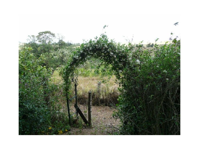Millaa Millaa QLD 4886
