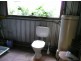Millaa Millaa QLD 4886