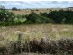 Millaa Millaa QLD 4886