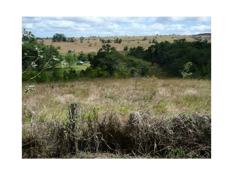 Millaa Millaa QLD 4886
