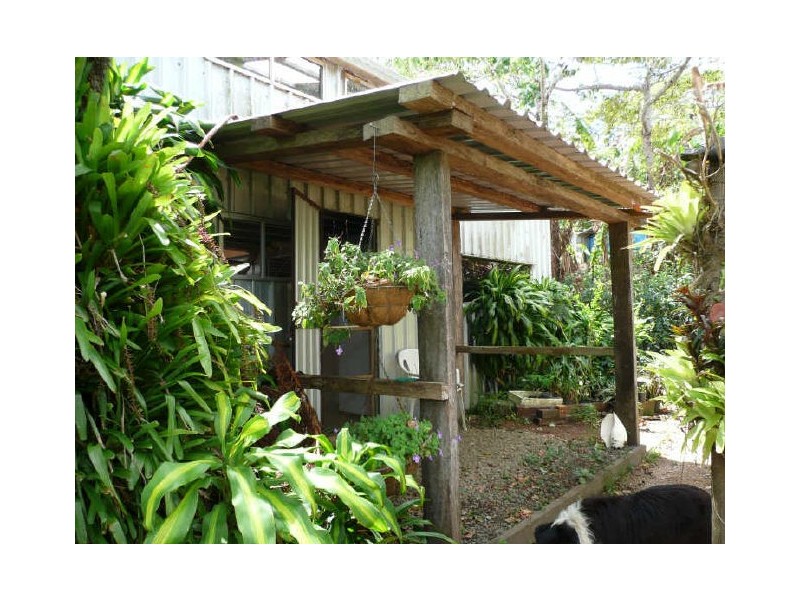 Millaa Millaa QLD 4886