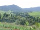 Millaa Millaa QLD 4886