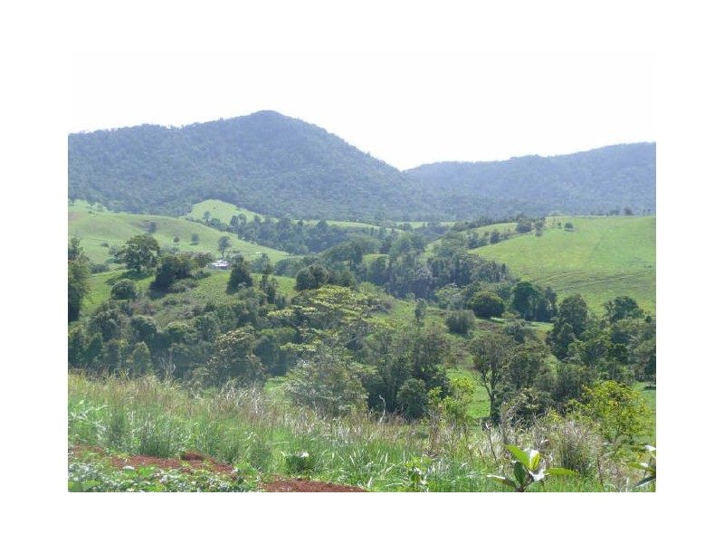 Millaa Millaa QLD 4886
