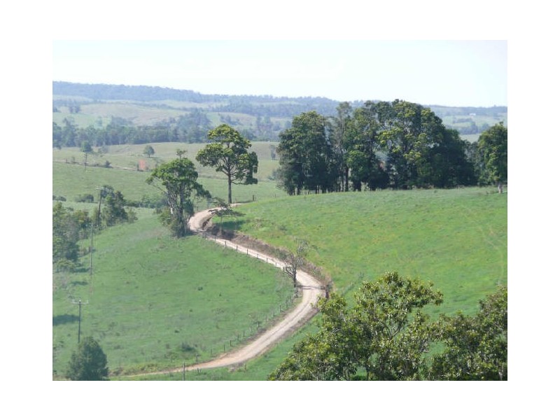 Millaa Millaa QLD 4886