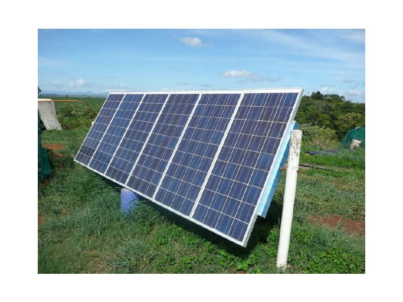 Millaa Millaa QLD 4886