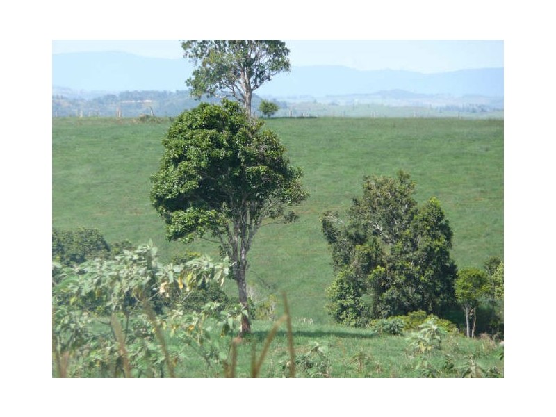 Millaa Millaa QLD 4886