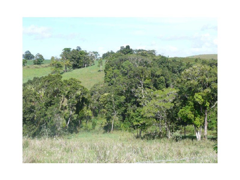 Millaa Millaa QLD 4886