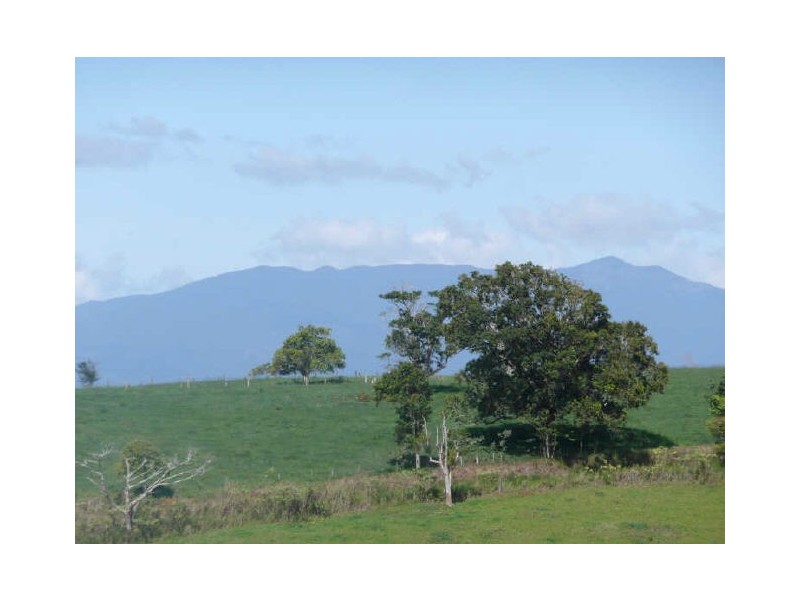 Millaa Millaa QLD 4886