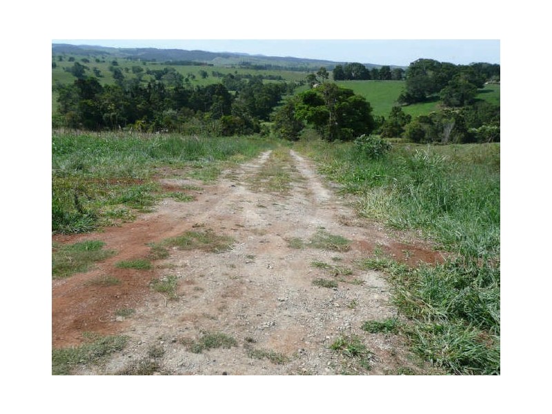 Millaa Millaa QLD 4886