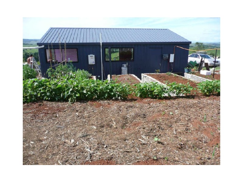 Millaa Millaa QLD 4886