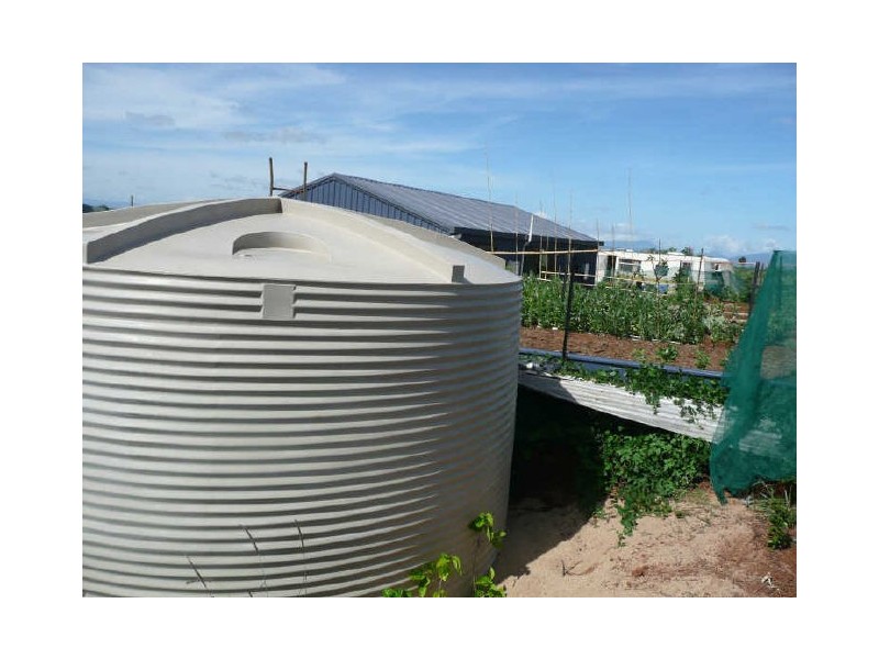 Millaa Millaa QLD 4886