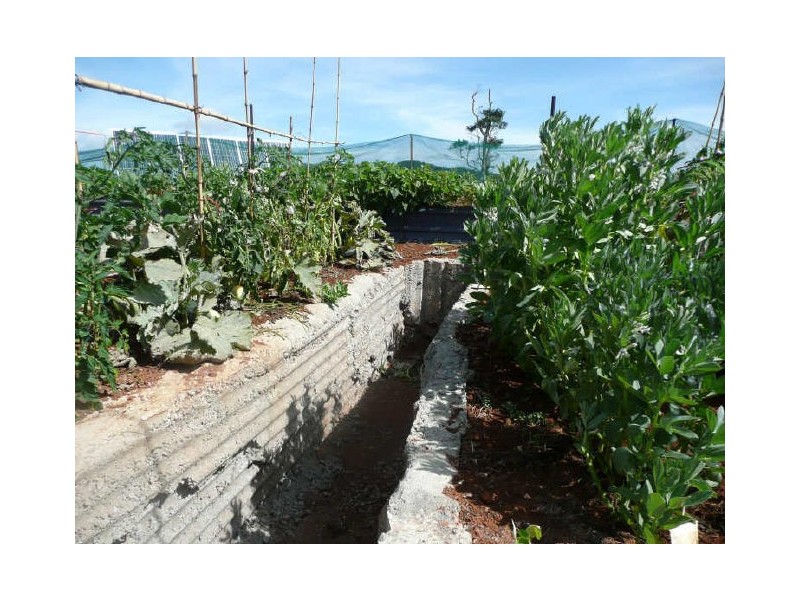 Millaa Millaa QLD 4886