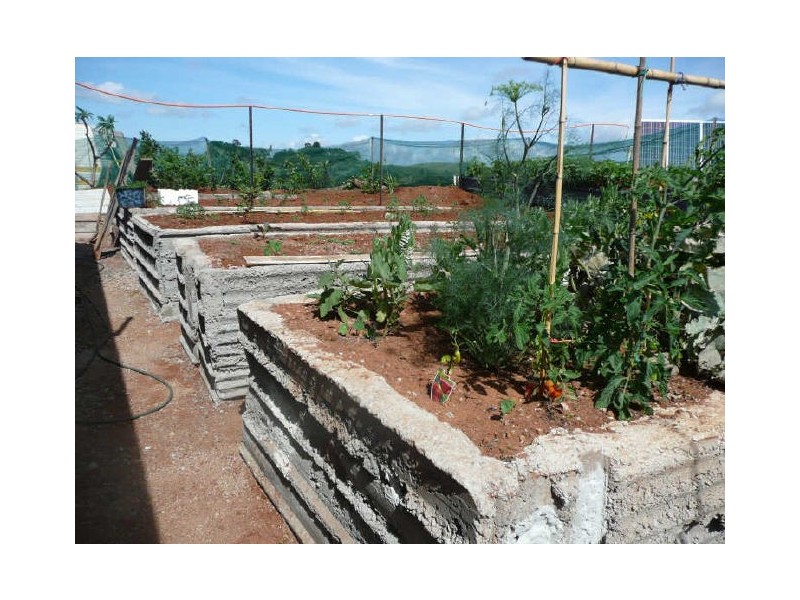 Millaa Millaa QLD 4886