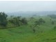 Millaa Millaa QLD 4886