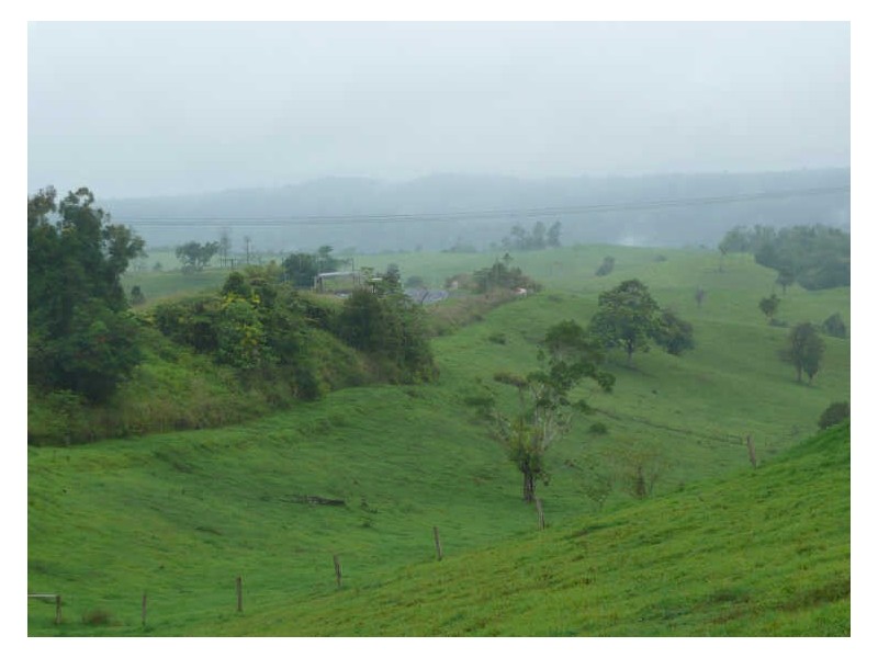 Millaa Millaa QLD 4886