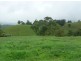 Millaa Millaa QLD 4886