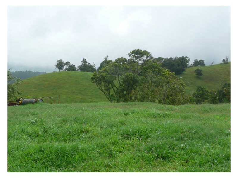 Millaa Millaa QLD 4886