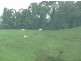 Millaa Millaa QLD 4886