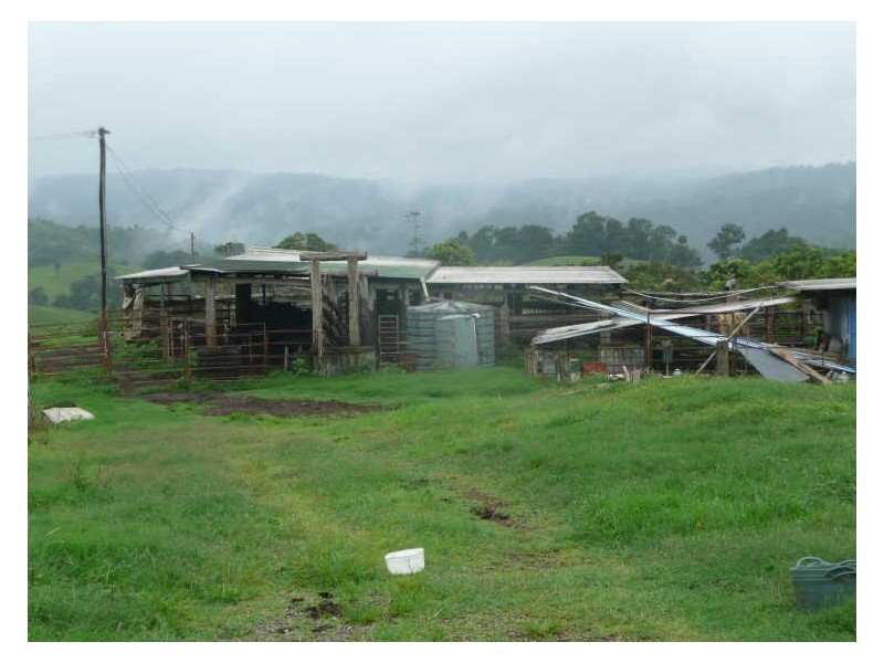 Millaa Millaa QLD 4886