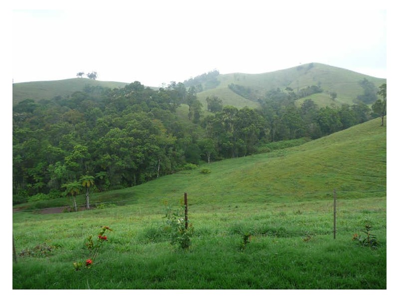 Millaa Millaa QLD 4886