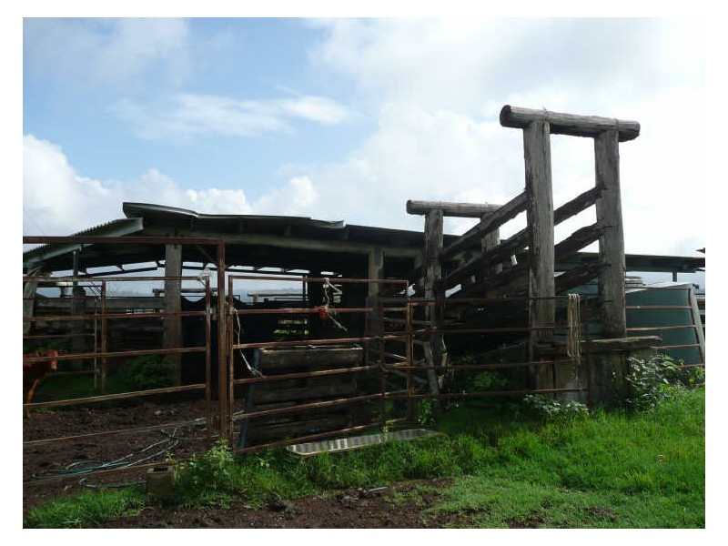 Millaa Millaa QLD 4886