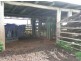 Millaa Millaa QLD 4886