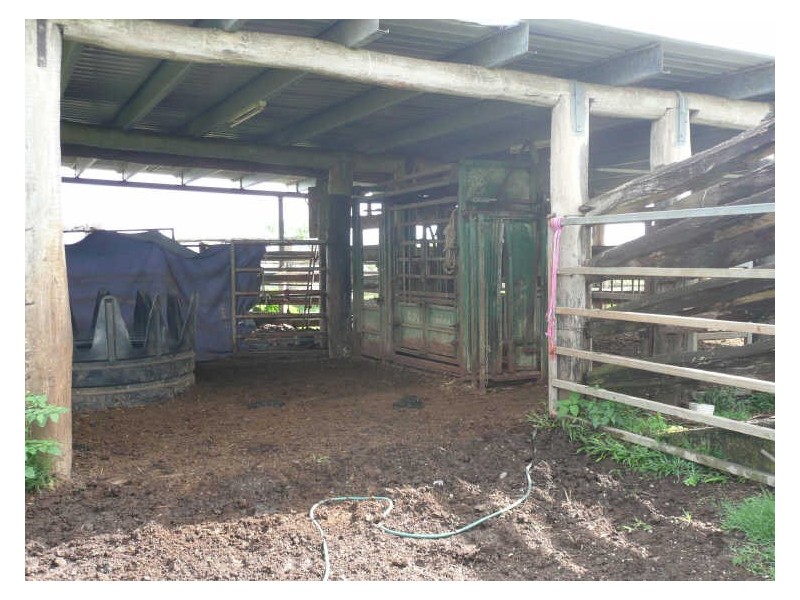 Millaa Millaa QLD 4886